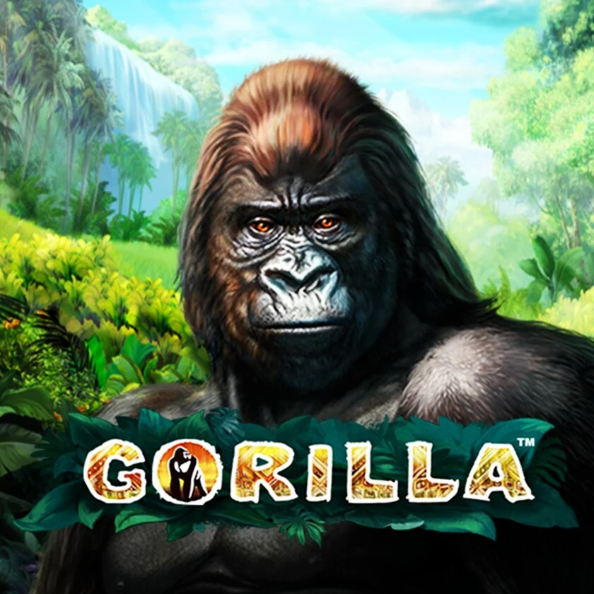 Gorilla